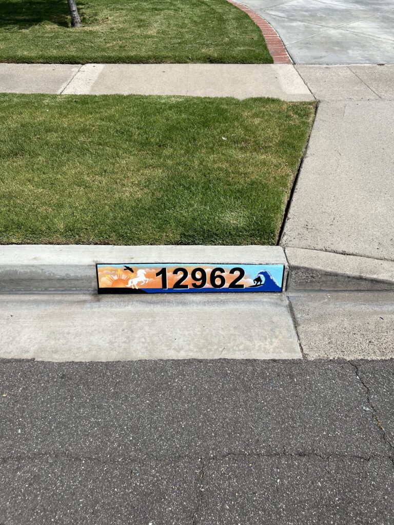 E073995F-02F2-48A5-9988-C3C4DA0A48E4